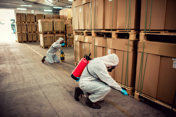 Best Affordable Pest Control Services  in Webberville, MI