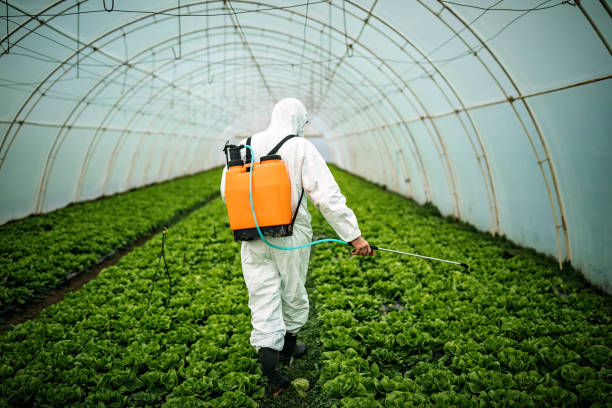 Reliable Webberville, MI Pest Control Solutions