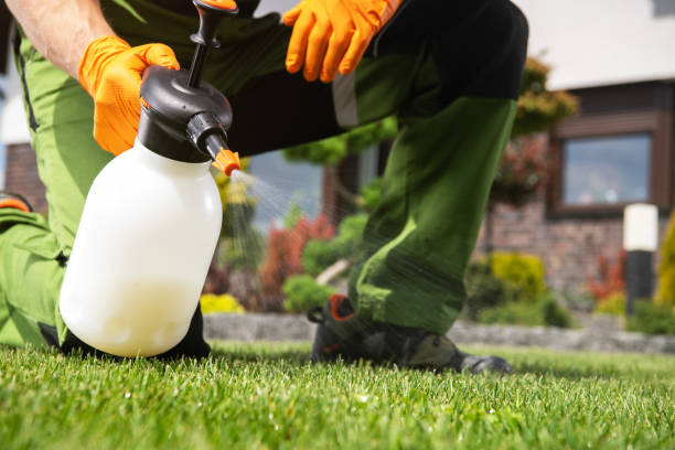 Best Rat Extermination Near Me  in Webberville, MI