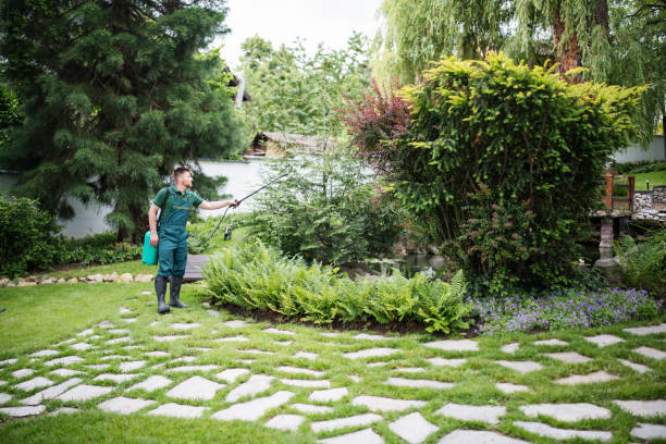 Best Pest Inspection Near Me  in Webberville, MI