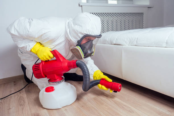 Best Affordable Pest Control Services  in Webberville, MI