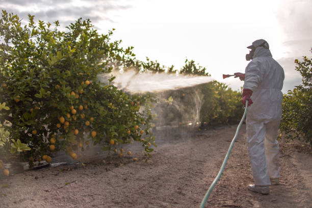 Best Affordable Pest Control Services  in Webberville, MI