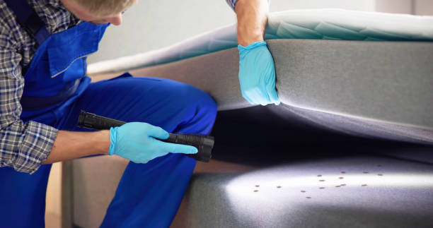 Best Best Pest Control Companies  in Webberville, MI