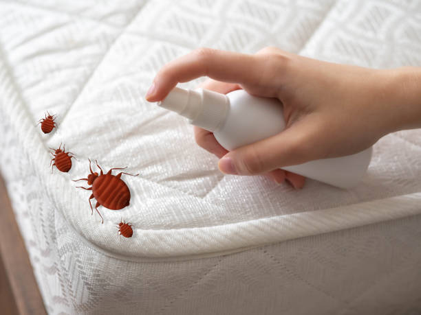 Best Cockroach Control Services  in Webberville, MI