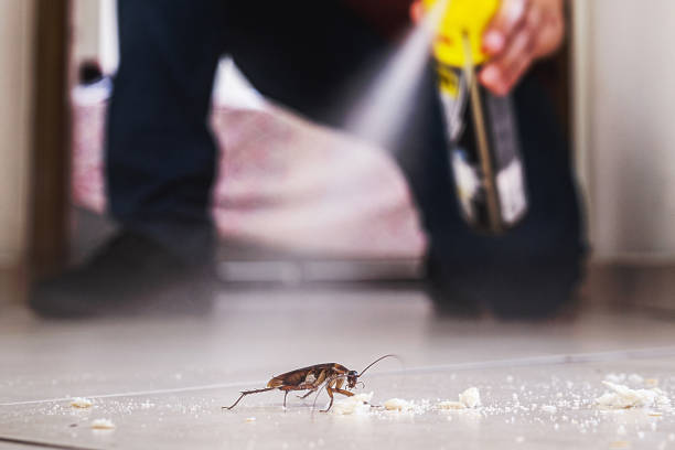 Best Pest Removal Services  in Webberville, MI