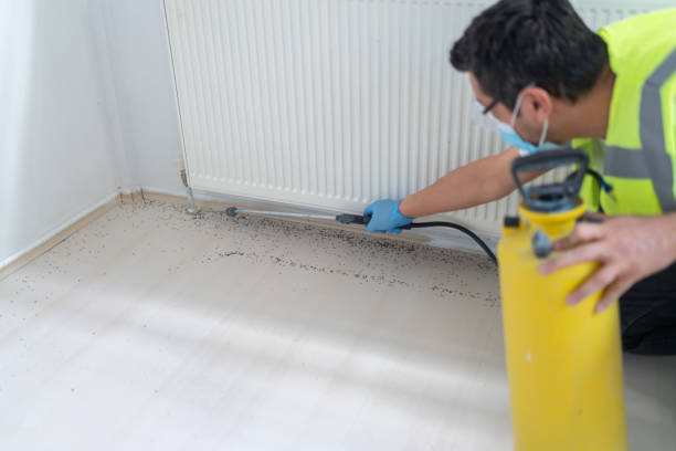 Best Mosquito Control Services  in Webberville, MI