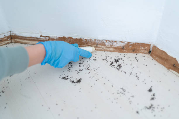 Best Pest Control Near Me  in Webberville, MI