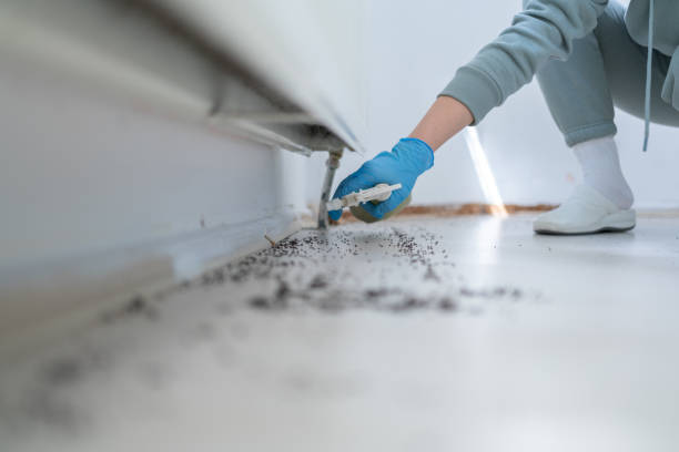 Best Rodent Control Near Me  in Webberville, MI