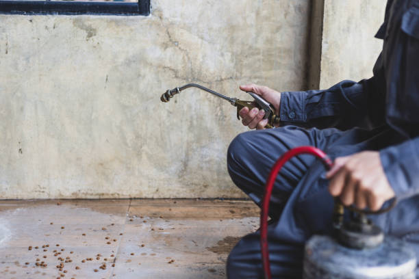 Best Residential Pest Control  in Webberville, MI